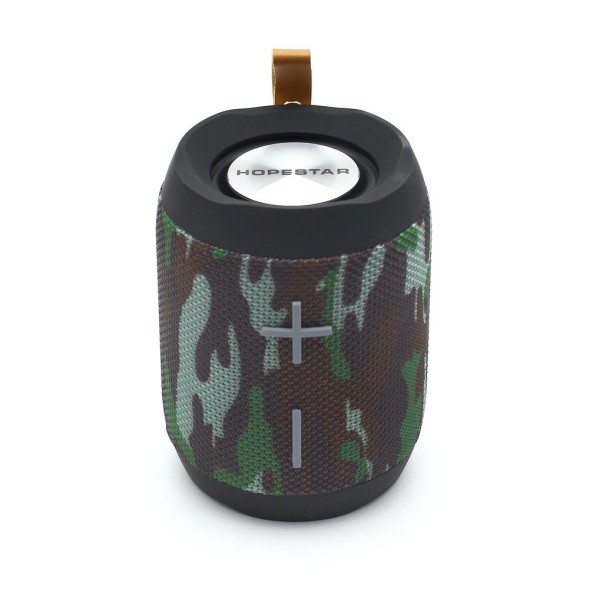 Колонка Hopestar P13