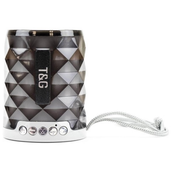 Колонка T&amp;G TG-155