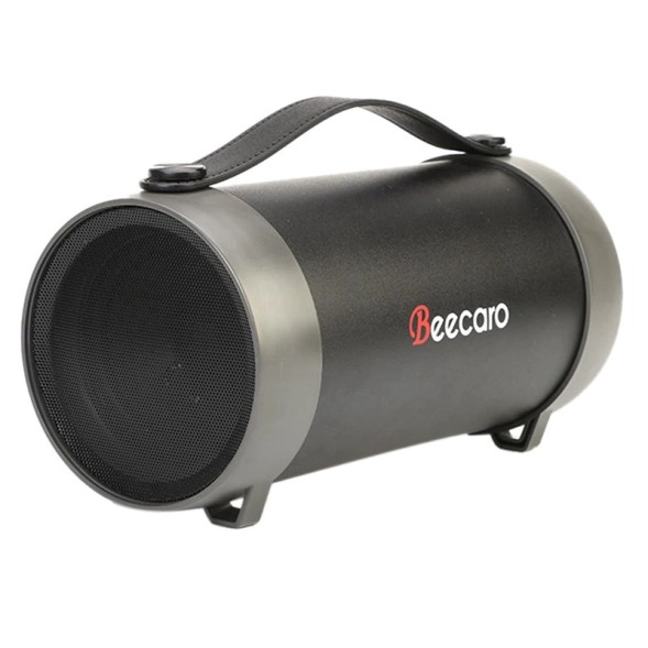 Колонка Beecaro S22E