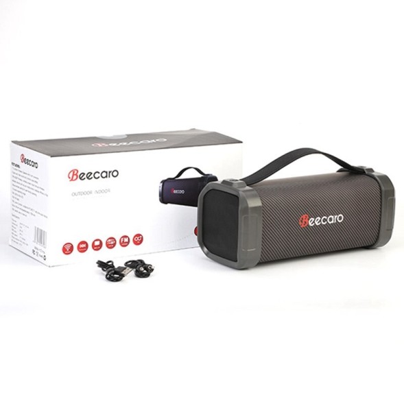 Колонка Beecaro F62D