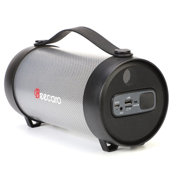 Колонка Beecaro RX22E