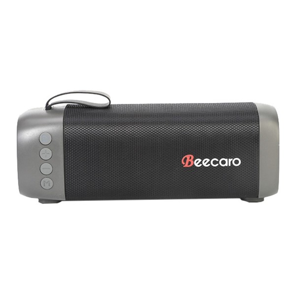 2186.589 Колонка Beecaro GF501 купить оптом и в розницу по низкой цене с доставкой по Москве и России Колонка Beecaro GF501