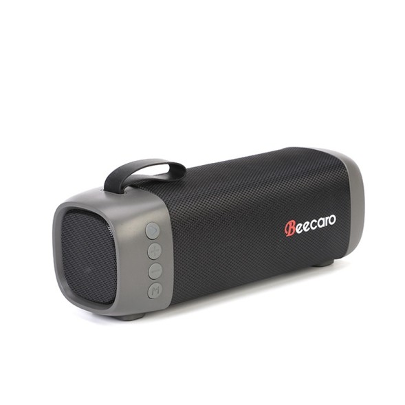 Колонка Beecaro GF501