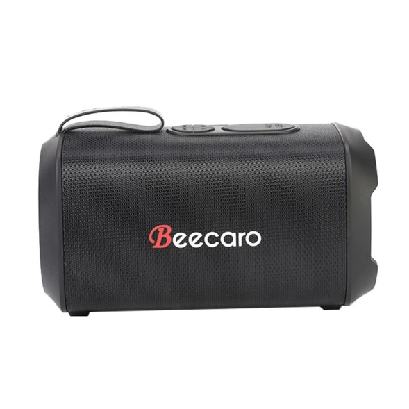 2193.589 Колонка Beecaro GF601 купить оптом и в розницу по низкой цене с доставкой по Москве и России Колонка Beecaro GF601