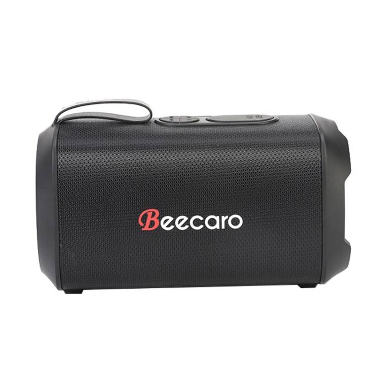Колонка Beecaro GF601