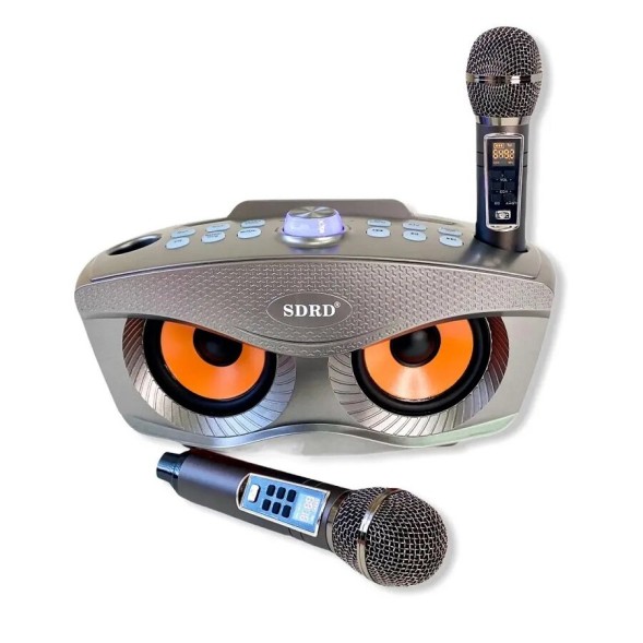 Караоке система SDRD SD-306 Plus